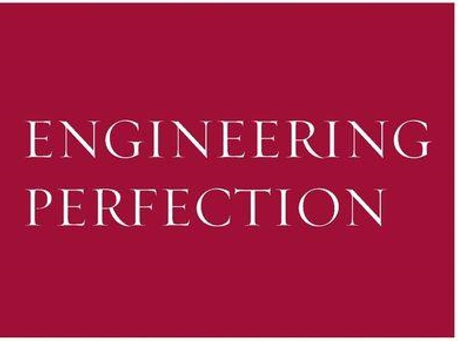 Engineering Perfection: Solidarity, Disability, and Well-being (Revolutionary Bioethics)